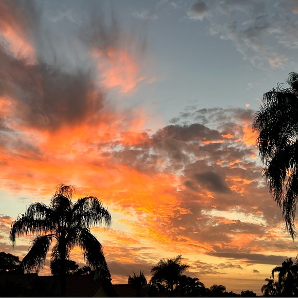 Unlisted inventory - Picture 4 of 4